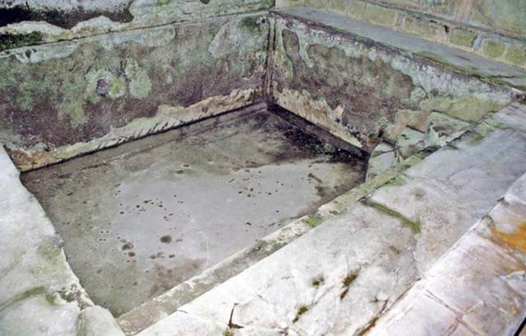 Suburban Baths, Herculaneum. October 2001. Cold bath in frigidarium. Photo courtesy of Peter Woods.
